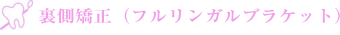 裏側矯正（フルリンガルシステム） 
