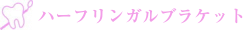 ハーフリンガルシステム 